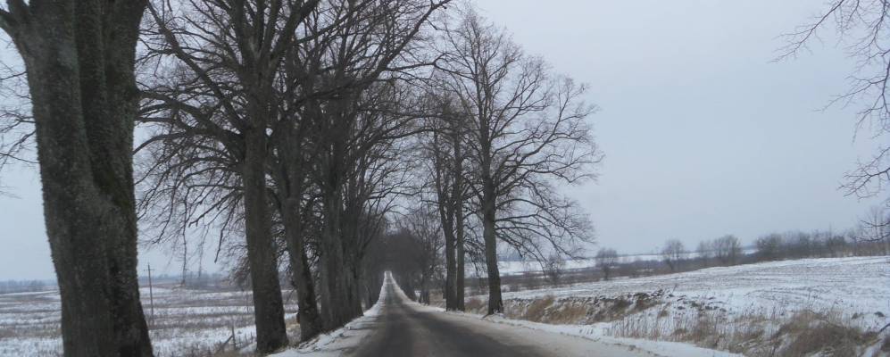 
            Фотография Курочкино