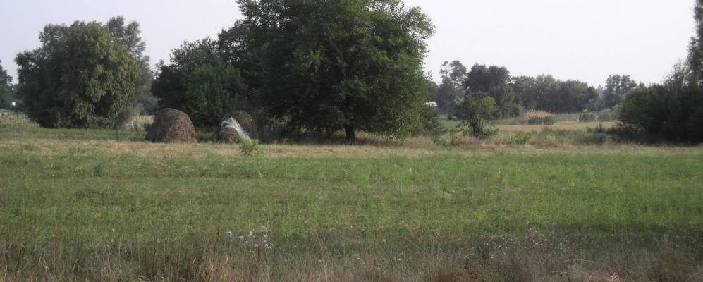 
            Фотография Кущевки