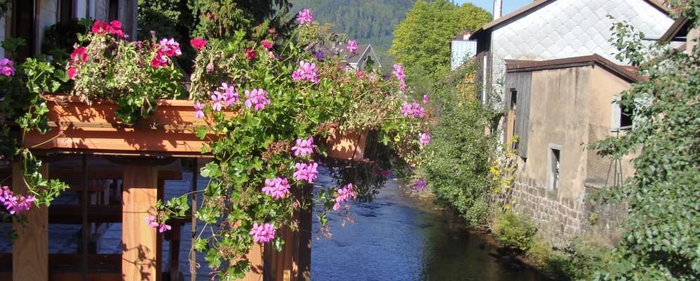 
            Фотография Ширмека