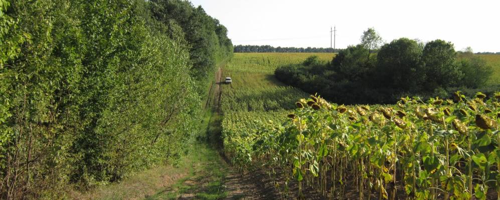 
            Фотография Шуры