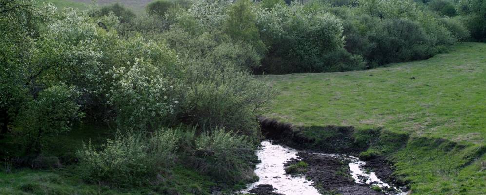 
            Фотография Красной Сибири