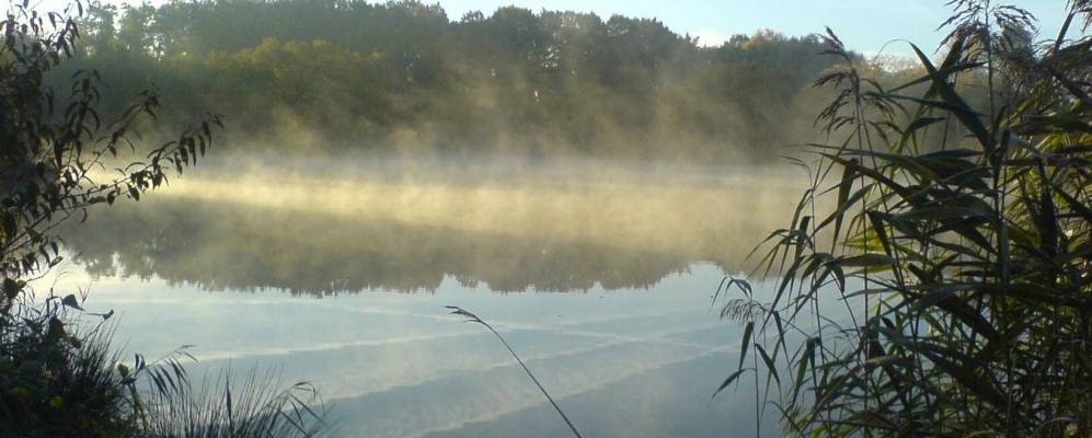 
            Фотография Зулингена