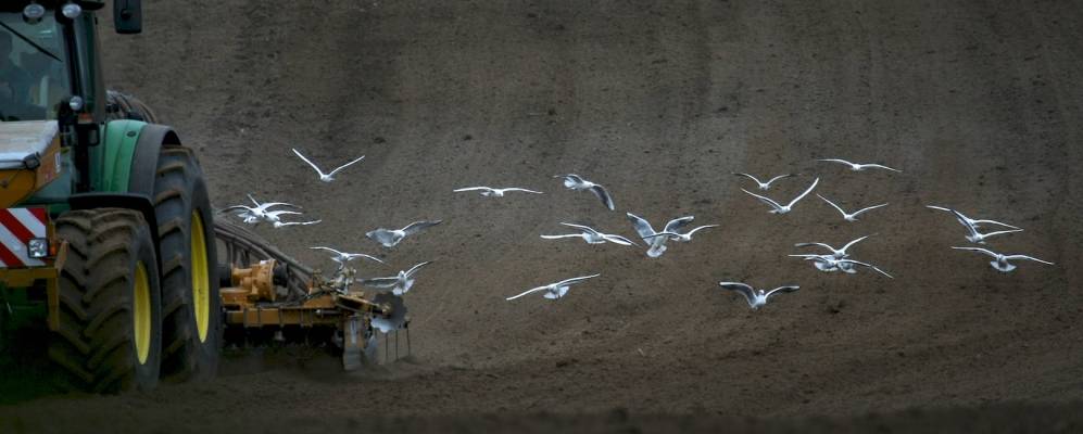 Фотография Энона