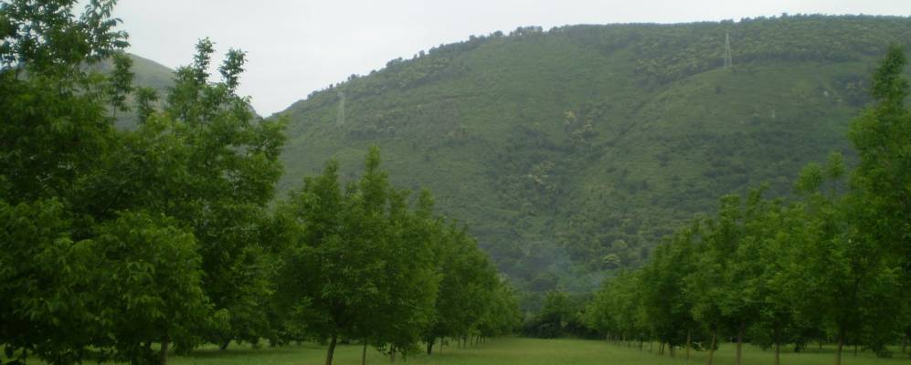 
            Фотография Сан Феличе а Канчелло