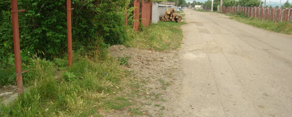 
            Фотография Саскута