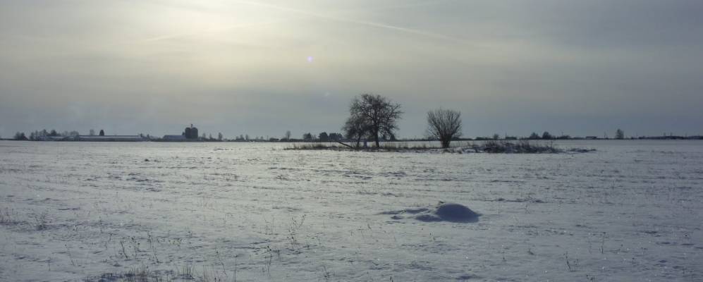 
            Фотография деревни Плясовичи