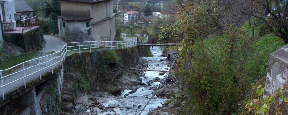 
            Фотография Прималуны