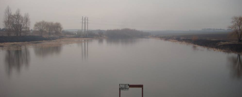 
            Фотография Толстолуга