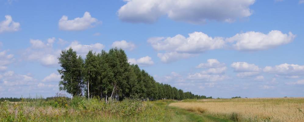 
            Фотография Гладского