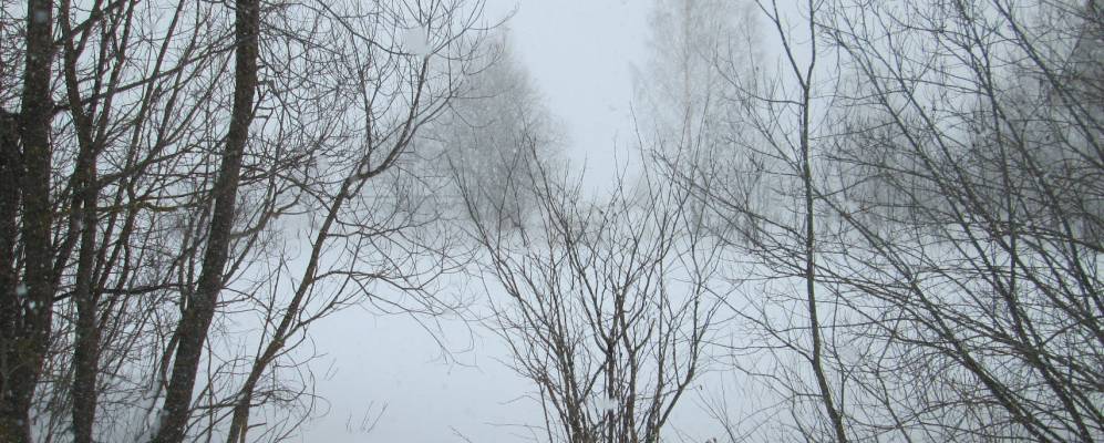 
            Фотография Данилкино