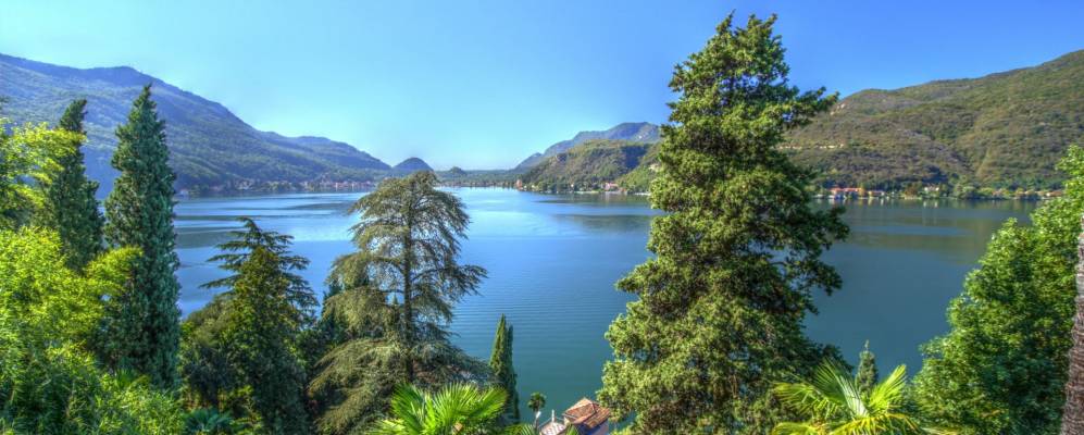 
            Фотография Моркоте 