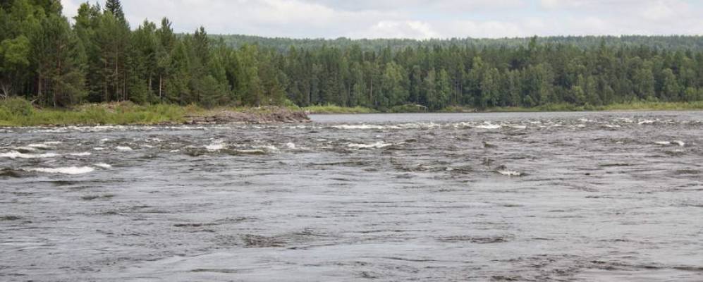 
            Фотография Тони