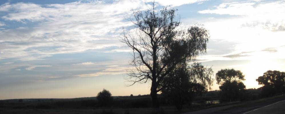 Фотография Мосты