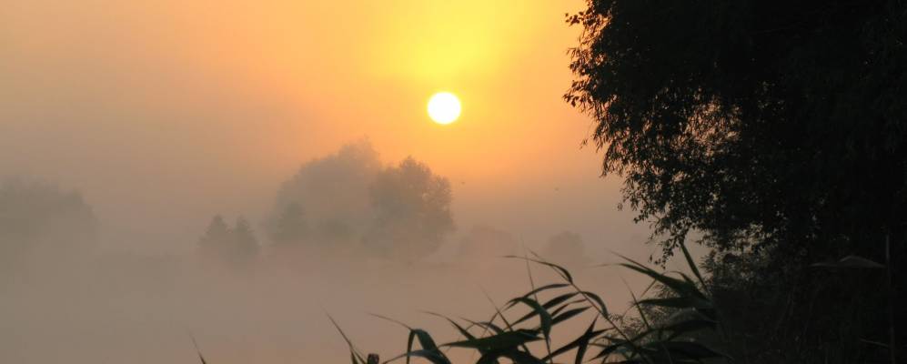 
            Фотография Луговой