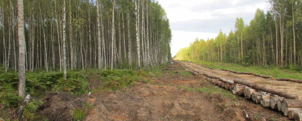 
            Фотография Деревково