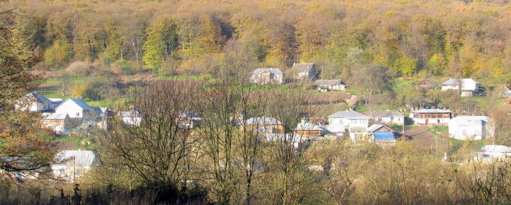 
            Фотография Крутилова