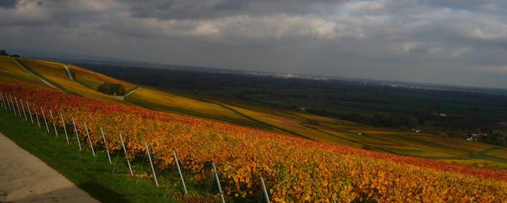 
            Фотография Боденхайма