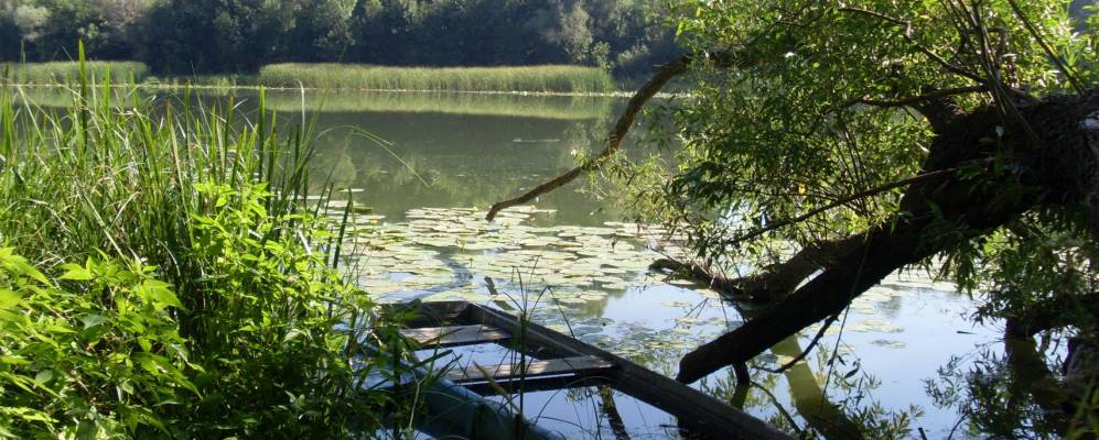 
            Фотография Николаевки