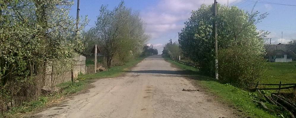 
            Фотография Дубовки