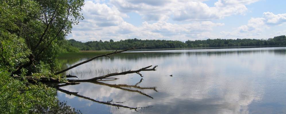 
            Фотография Отрадного