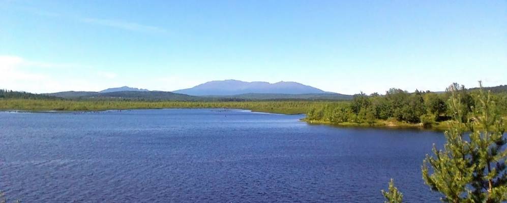 
            Фотография Тренькино