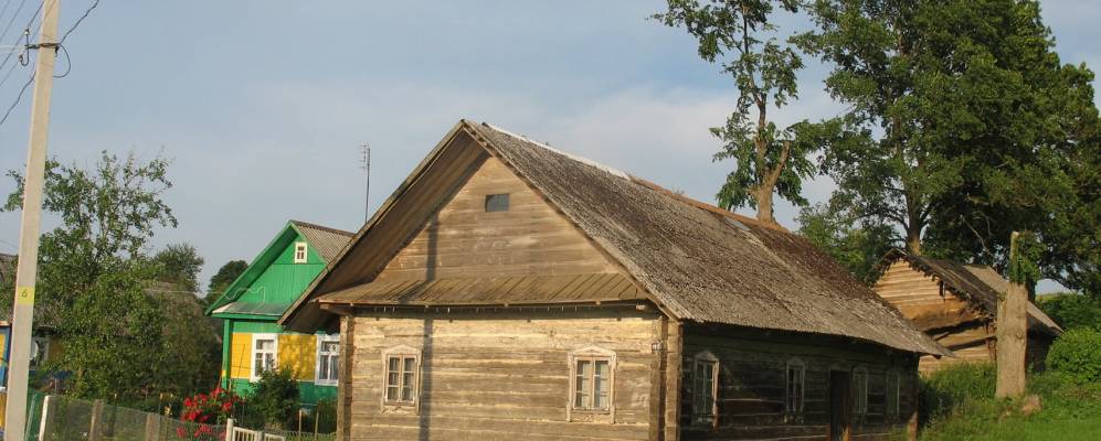 
            Фотография Подболотя