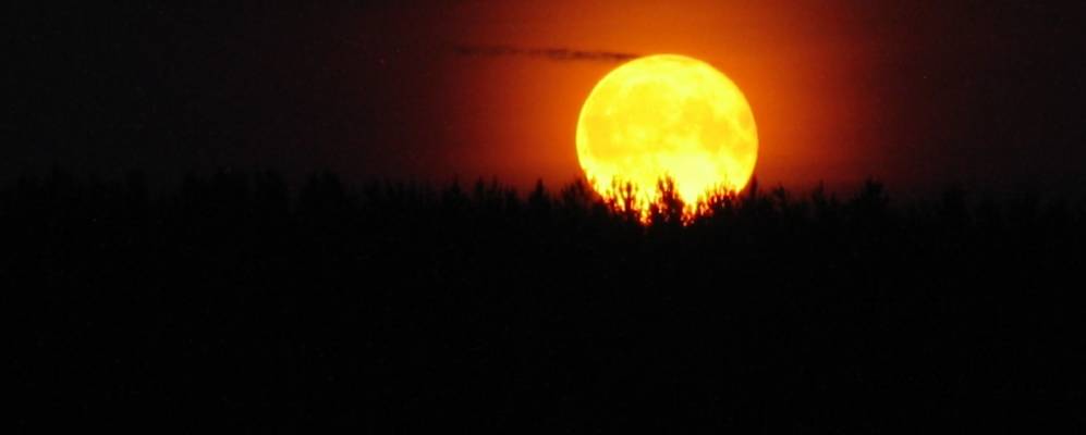 Фотография Ошиба