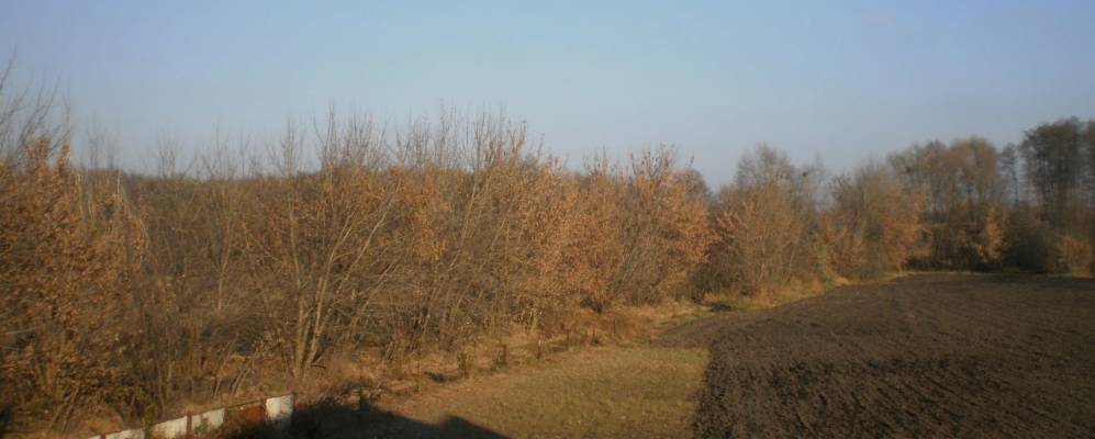 
            Фотография Бакумовки