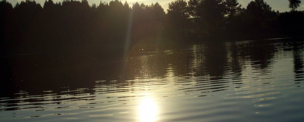 Фотография Вишневки