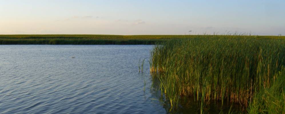 
            Фотография Артемовки