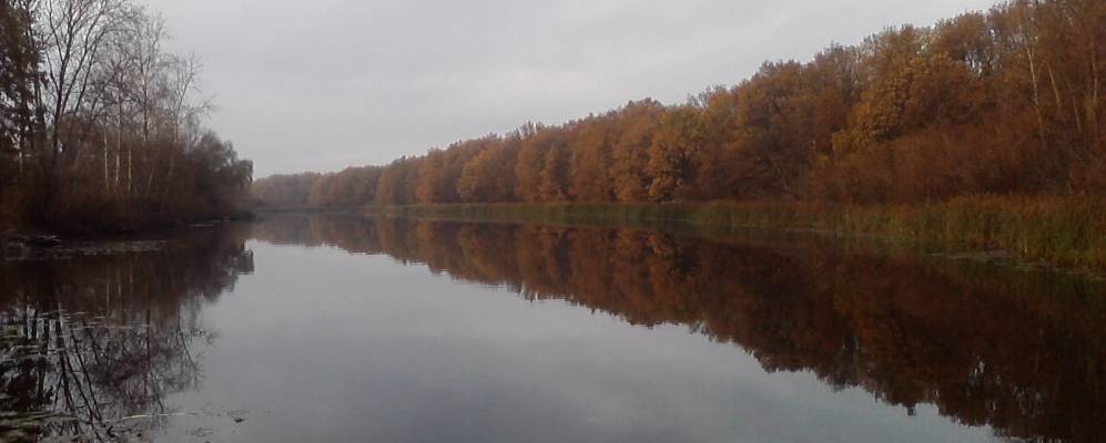 
            Фотография Гаркино