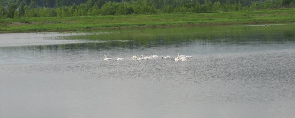 
            Фотография Пронькино