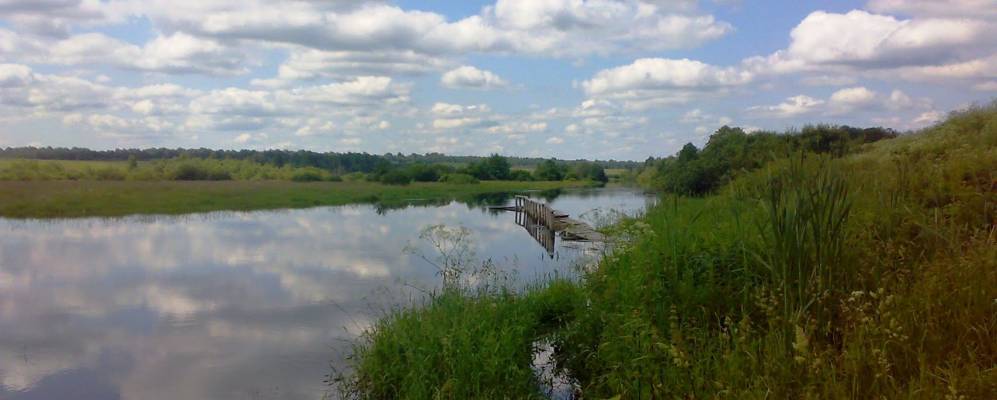 Фотография Косицкого