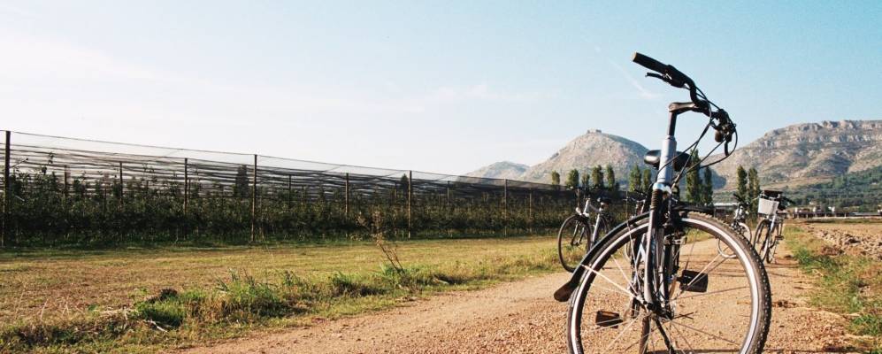 
            Фотография Торроелья де Монтгри