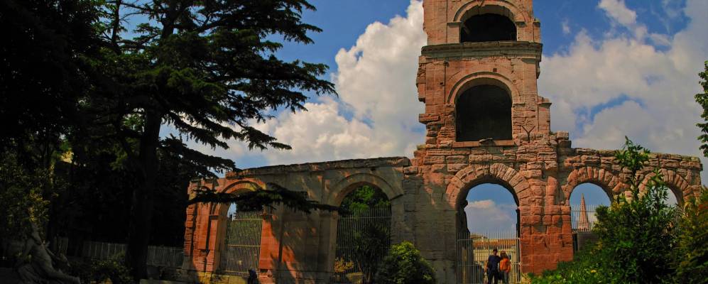 
            Фотография Арли