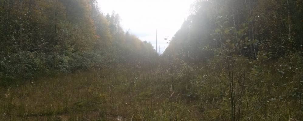 
            Фотография деревни Кисляки