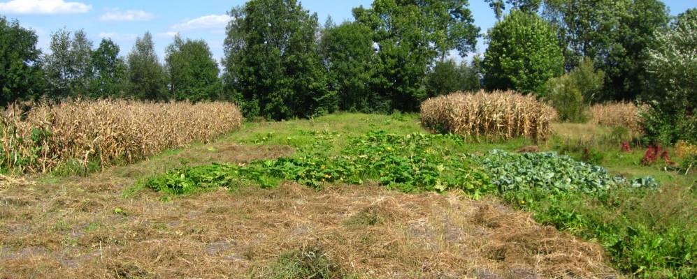 
            Фотография Гончаровки