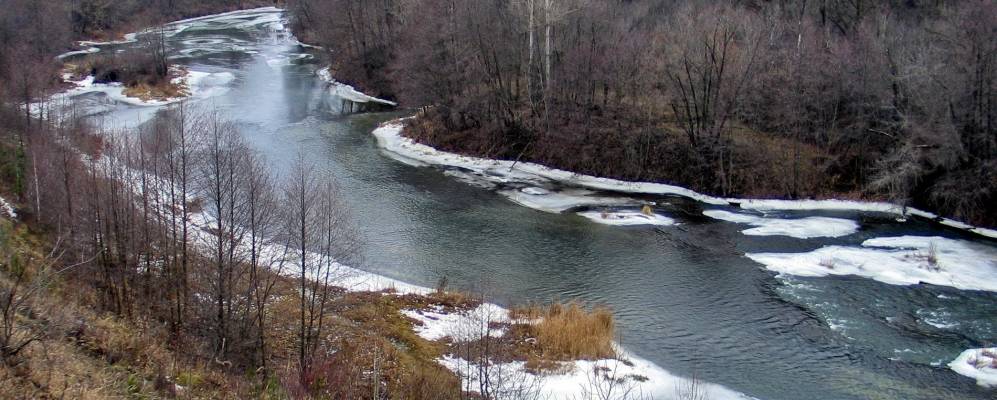 
            Фотография Малинового Куста
