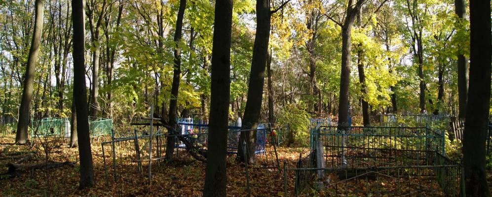 
            Фотография Тёплого