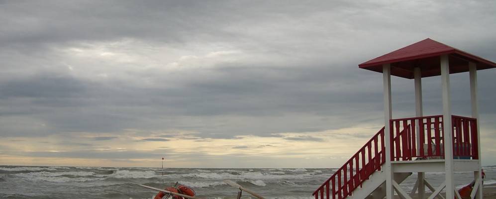 
            Фотография Розапинета