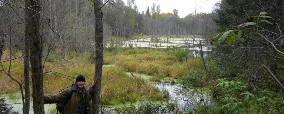 
            Фотография Варварино