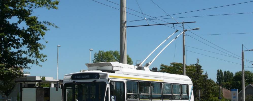 
            Фотография Иля