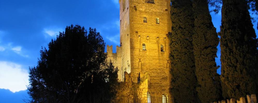 
            Фотография Конельяно