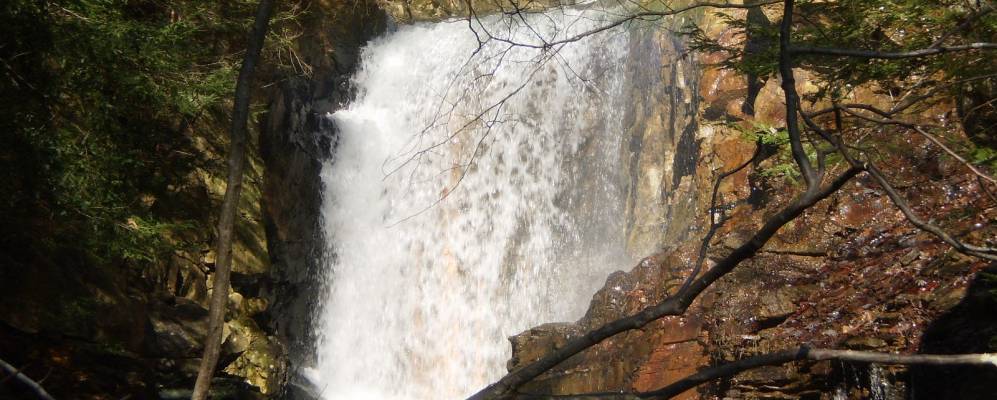 
            Фотография Каривилла