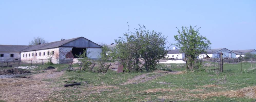 
            Фотография Борщовки