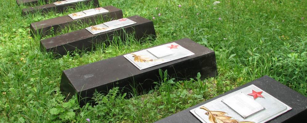 Фотография Нежилово