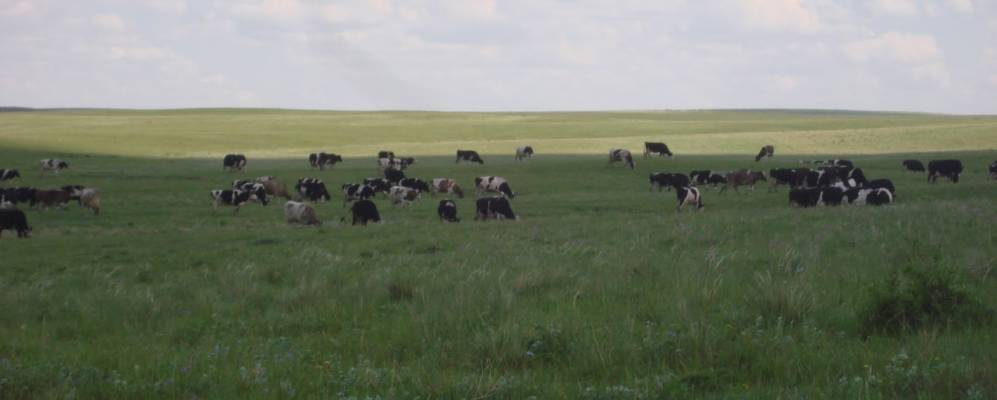 
            Фотография Базарского