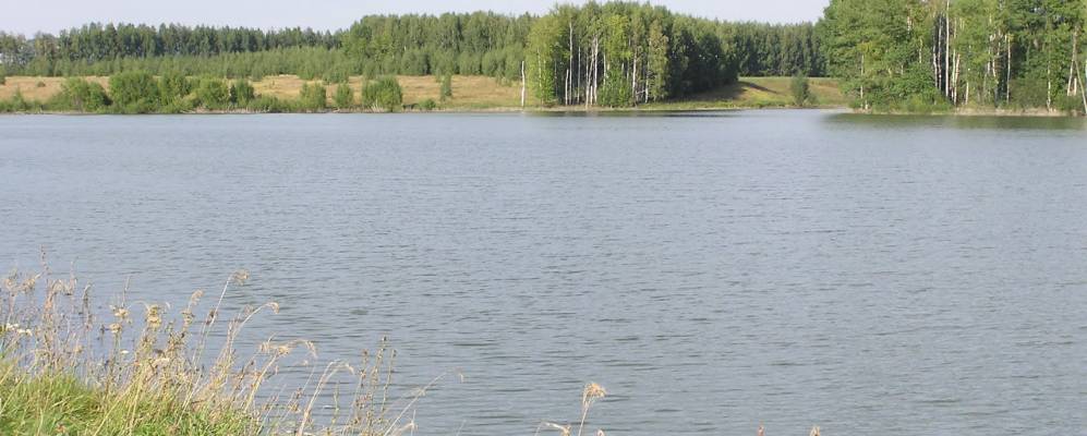 
            Фотография Красивки