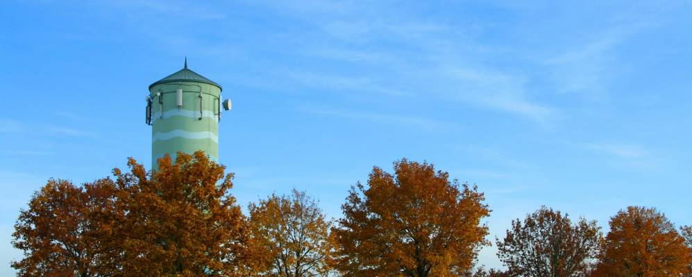 
            Фотография Нойлера