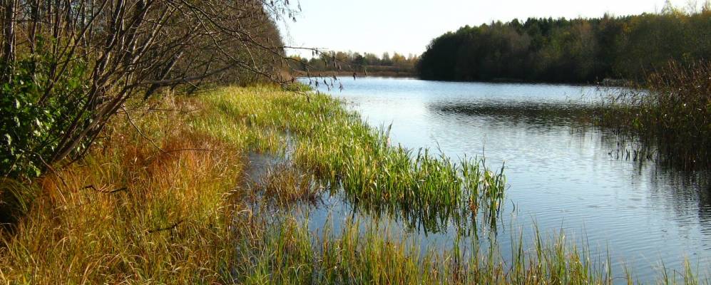 
            Фотография Осника